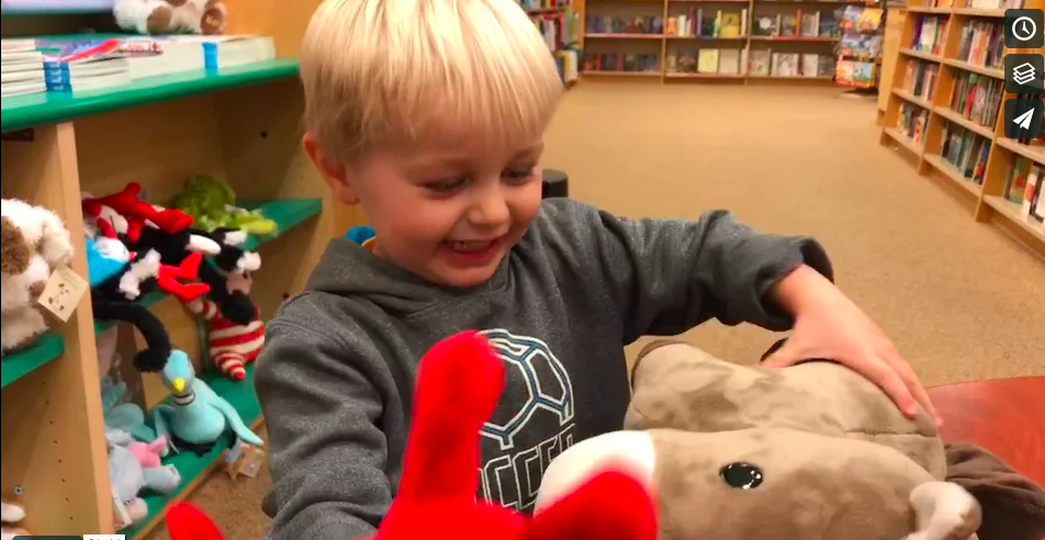 Noah B&N_animals.png